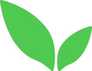 leaf icon