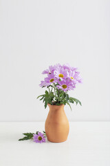 chrysanthemums flowers in ceramic vase on white background