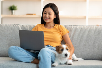 Loyal dog resting by its female owner using laptop