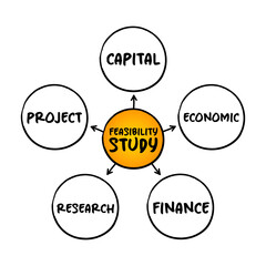 Feasibility study - assessment of the practicality of a proposed project or system, mind map concept for presentations and reports