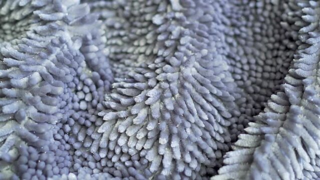Detailed Texture of Fleecy Gray Fabric Soft Textile Bathroom Carpet Rug Toilet, Gray Fleece Material, Macro, Closeup. Gray Abstract Background.