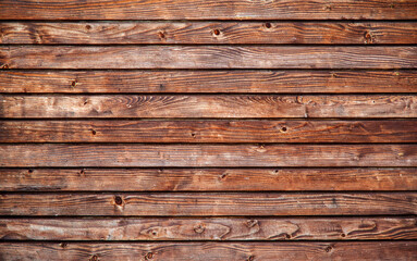 Obraz premium Tree bark, wood and metal products as wallpaper, texture, background for the desktop. Photos were taken in the second half of 2021 in Podlasie, Poland.