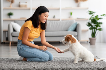 Positive asian woman training her doggy to give paw