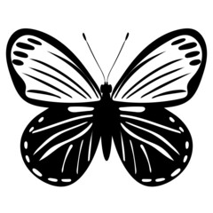 butterfly black and white silhouette, on a white background