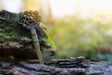An ancient key on the stone with moss in the forest