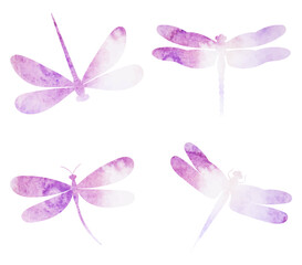 Fototapeta premium dragonflies flying watercolor silhouette,on white background,vector,isolated