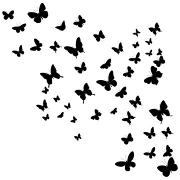 butterflies fly silhouette, on a white background