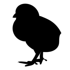 chicken silhouette, on a white background, vector, isolated