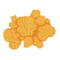 Set of marine vector plants, drawn algae