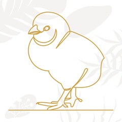 chick line drawing on abstract background ,vector, isolated