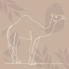 camel line drawing on abstract background ,vector, isolated