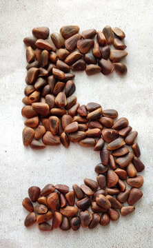 number five consists of large brown pine nuts on a background of gray marble created from natural materials