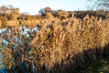 Fototapeta premium Zalew Zasławicki w Krakowie