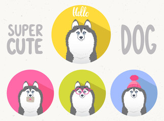set husky © julli
