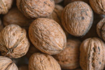 Lot of  walnuts in the pile.Background of fresh walnuts.