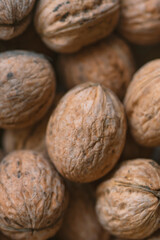 Lot of  walnuts in the pile.Background of fresh walnuts.