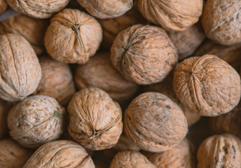 Lot of  walnuts in the pile.Background of fresh walnuts.