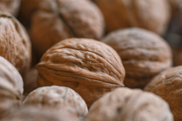 Lot of  walnuts in the pile.Background of fresh walnuts.