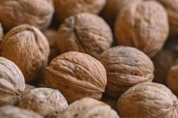 Lot of  walnuts in the pile.Background of fresh walnuts.