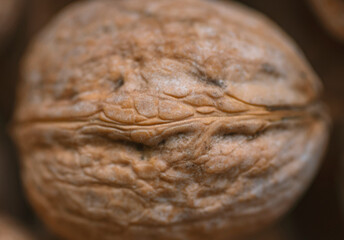 Lot of  walnuts in the pile.Background of fresh walnuts.