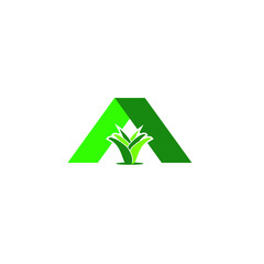letter A for aloe vera plant