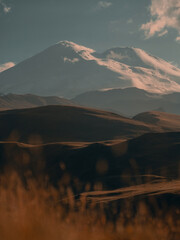 person sitting on the grass admiring the high snow-capped peak