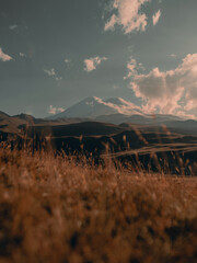 person sitting on the grass admiring the high snow-capped peak