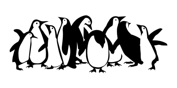  penguin family  in different poses set