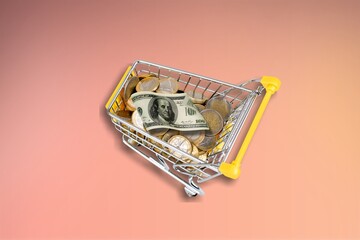 Money for shopping, in a shopping cart on light background.