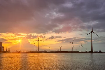 Fototapeten Windkraftanlagen im Antwerpener Hafen bei Sonnenuntergang. © Dmitry Rukhlenko