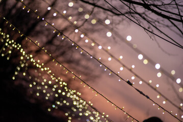 Light from garlands at sunrise on the park