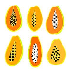 Hand drawn papaya vector set. Cute colorful papaya collection