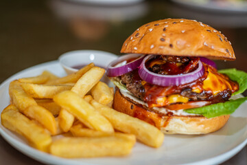 hamburger and fries