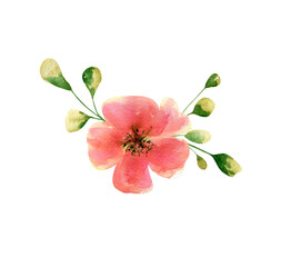 Naklejka premium Watercolor roses composition. Botanical illustration of abstract tea-rose, garden rose flower with leaves and branch for wedding invitation, greeting cards, postcards