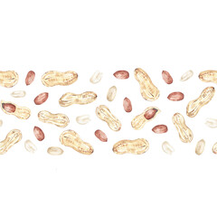 Watercolor seamless border with peanuts