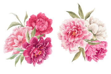 Beautiful floral set with watercolor hand drawn peony flower bouquets. Stock illustration.
