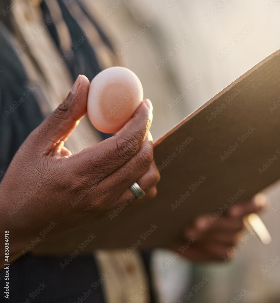 Aufkleber as fresh as eggs should be. shot of an unrecognisable farmer inspecting the quality of eggs on his f