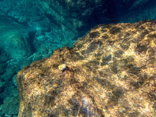 fondale marino isola bella taormina 828