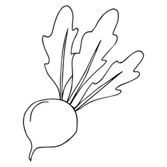 Beetroot in doodle style. Coloring book for kids with vegetables.