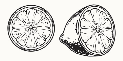 Monochrome design of citrus fruit