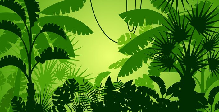 Tropical forest background with exotic palm silhouette. Jungle plants foliage wallpaper