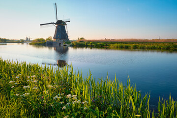 Netherlands rural lanscape with windmills at famous tourist site Kinderdijk in Holland on sunset with dramatic sky