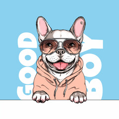 French bulldog illustration. Happy dog ​​sketch. Image for printing on any surface	