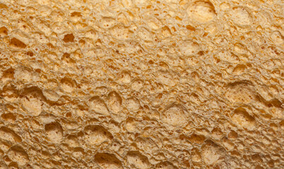 sponge for washing dishes close-up