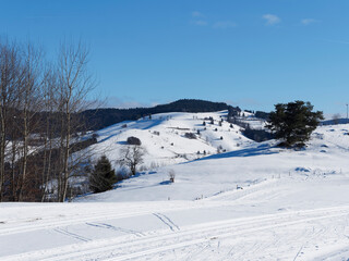 Fröhnd im Schwarzwald mit Blick auf  Winter-Ittenschwander-Horn . Schneelandschaft und Winterparadies zwischen Tannenbodenhütte und Orsteil Hof. Skipisten und Langlauf