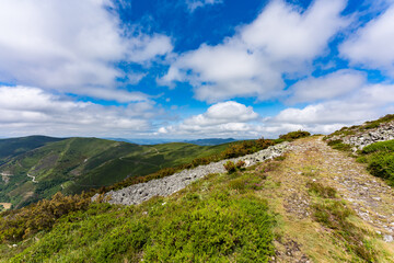Fototapeta premium カミーノ 巡礼 サンティアゴへの道