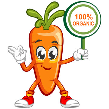 vector illustration of mascot character a cute carrot carrying a 100% organic sign with a hand giving an ok sign