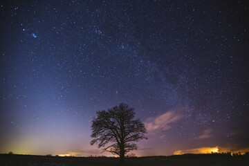 Night landscape image with colorful milky way and zodiac light in the horizon