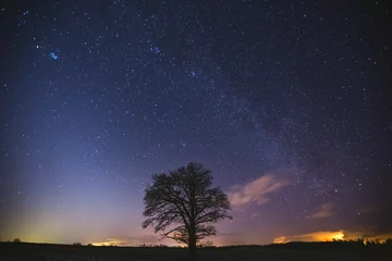 Fotobehang Nachtlandschapsbeeld met kleurrijke melkweg en dierenriemlicht aan de horizon © lukjonis