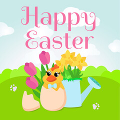 On a green meadow there is a charming chicken and a watering can and flowers tulips and daffodils. Vertical banner for spring holiday and text Happy Easter.